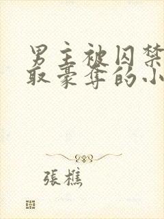 男主被囚禁被强取豪夺的小说