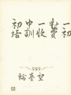 初中一对一辅导培训收费初吗