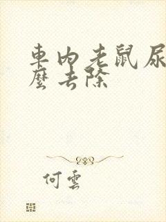 车内老鼠尿味怎么去除