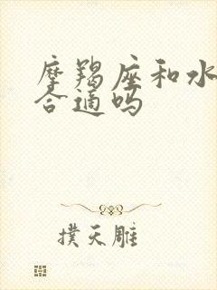 摩羯座和水瓶座合适吗