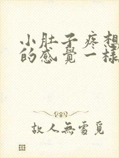 小肚子疼想拉屎的感觉一样怎么回事