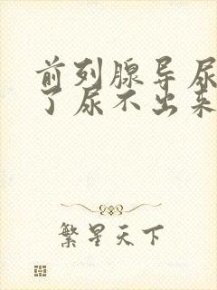 前列腺导尿管拔了尿不出来怎么办