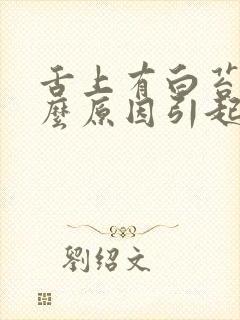 舌上有白苔是什么原因引起的