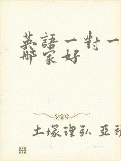 英语一对一辅导哪家好