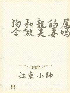 狗和龙的属相适合做夫妻吗