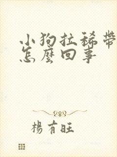 小狗拉稀带点血怎么回事