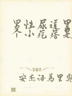 男性尿道里有一个小疙瘩是怎么回事