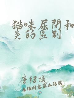 猫咪尿闭和膀胱炎的区别