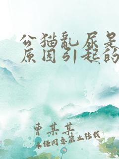 公猫乱尿是什么原因引起的