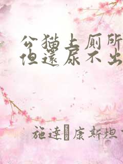 公猫上厕所频繁但还尿不出多少