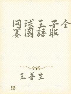 网球王子全国大赛国语版