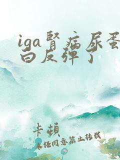 iga肾病尿蛋白反弹了