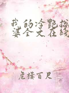 我的冷艳总裁老婆全文在线阅读