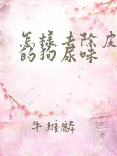 怎样去除皮沙发的狗尿味