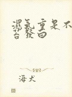 湿气重是不是舌苔发白