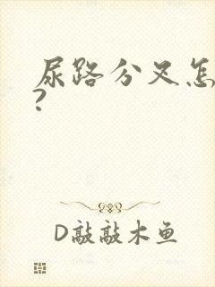 尿路分叉怎回事?