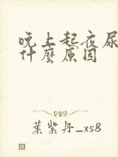 晚上起夜尿多,什么原因