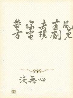 带你去有风的地方电视剧免费观看