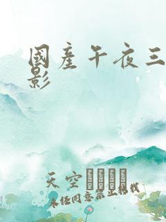 国产午夜三级电影