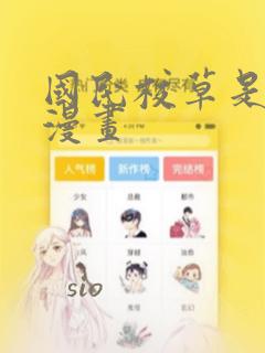 content:免费阅读