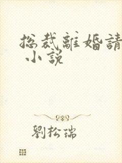 总裁离婚请签字 小说