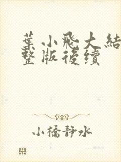 叶小飞大结局完整版后续