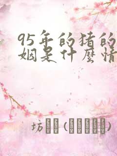 95年的猪的婚姻是什么情况