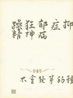 躁狂郁症抑郁性精神病