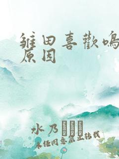 雏田喜欢鸣人的原因