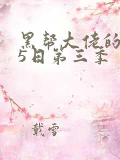 黑帮大佬的365日第三季