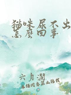 猫咪尿不出尿是怎么回事