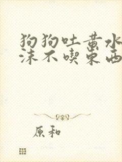 狗狗吐黄水带泡沫不吃东西