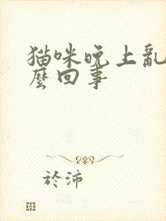 猫咪晚上乱尿怎么回事