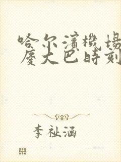 哈尔滨机场到大庆大巴时刻表2025最新