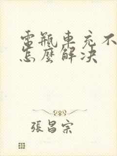 电瓶车充不进电怎么解决