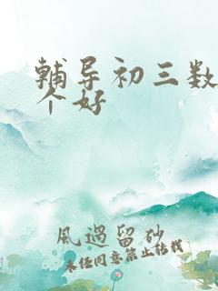 辅导初三数学哪个好