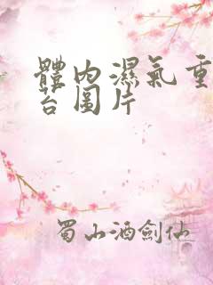 体内湿气重的舌苔图片