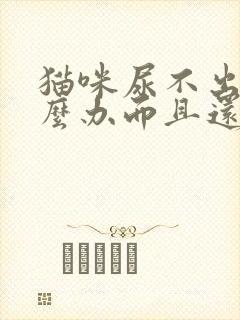 猫咪尿不出尿怎么办而且还有血