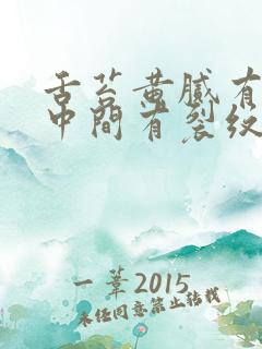 舌苔黄腻有齿痕中间有裂纹是什么原因