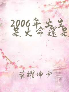 2006年出生是火命还是土命