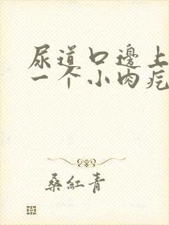 尿道口边上长了一个小肉疙瘩