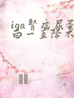 iga肾病尿蛋白一直降不下来怎么办