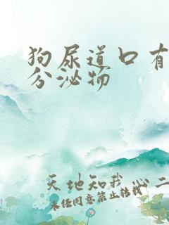 狗尿道口有黄色分泌物