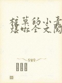 校草的小青梅甜爆啦全文阅读小说