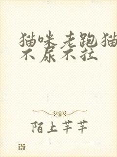 猫咪老跑猫砂盆不尿不拉