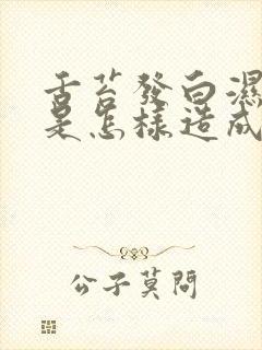 舌苔发白湿气重是怎样造成的