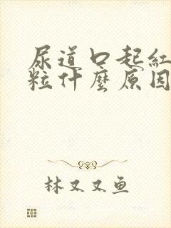 尿道口起红色肉粒什么原因