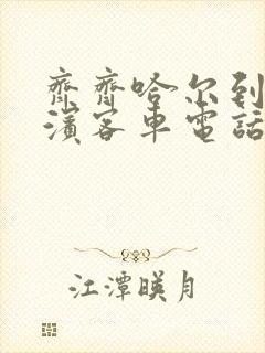 齐齐哈尔到哈尔滨客车电话