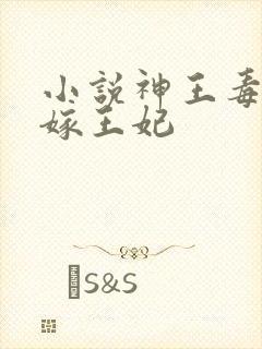 小说神王毒宠二嫁王妃