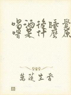 喝酒后睡觉打呼噜是什么原因